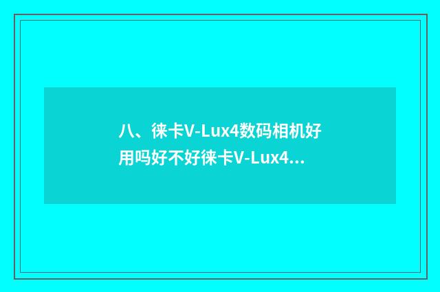 八、徕卡V-Lux4数码相机好用吗好不好徕卡V-Lux4数码相机优缺点？