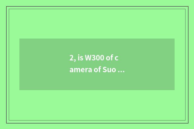 2, is W300 of camera of Suo Ni number good?