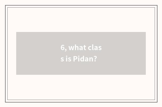 6, what class is Pidan?