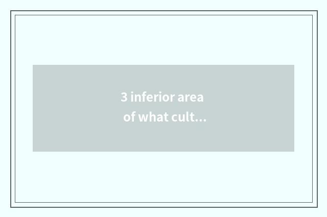 3 inferior area of what culture travel is there? 3 inferior is area of travel of