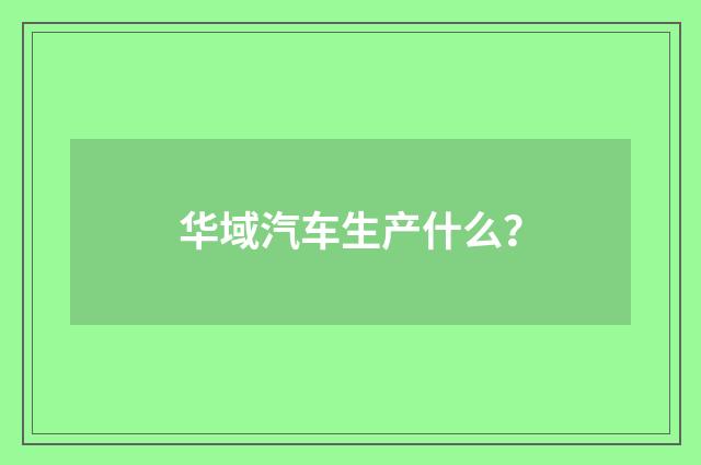 华域汽车生产什么？
