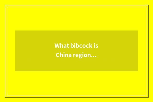 What bibcock is China region car?