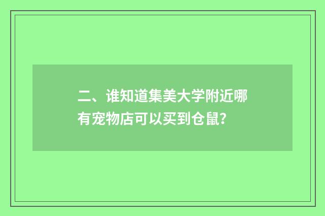 二、谁知道集美大学附近哪有宠物店可以买到仓鼠？