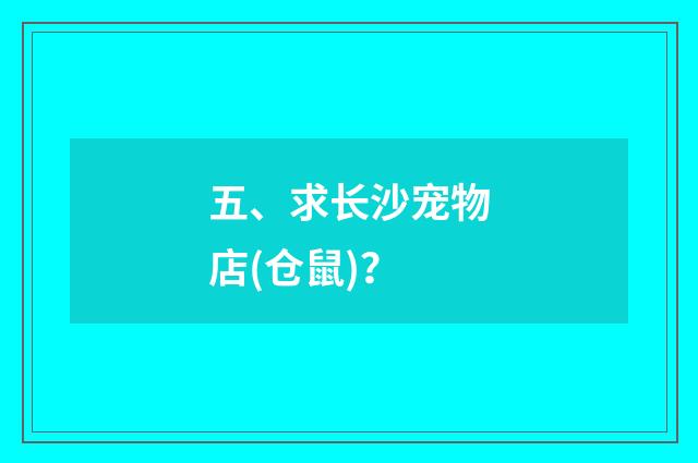 五、求长沙宠物店(仓鼠)？