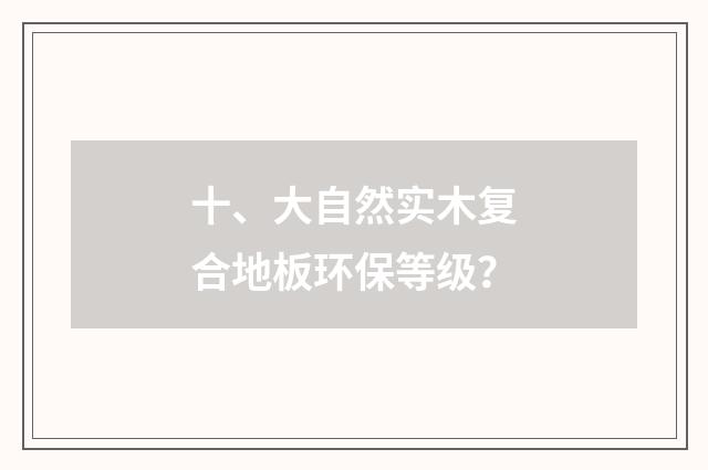 十、大自然实木复合地板环保等级？