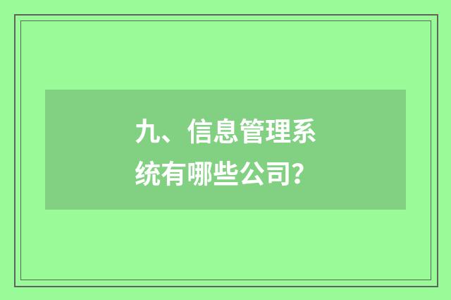 九、信息管理系统有哪些公司？