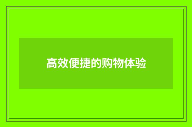 高效便捷的购物体验