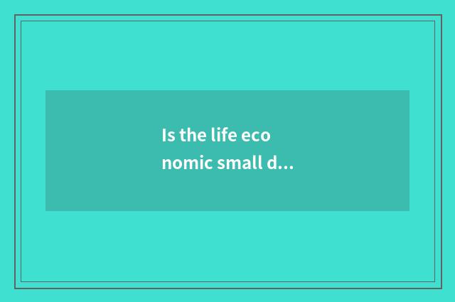 Is the life economic small doohickey?