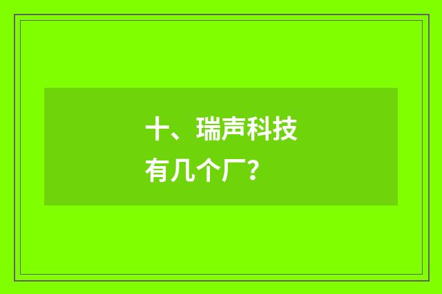 十、瑞声科技有几个厂？