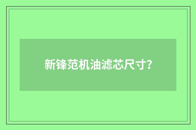 新锋范机油滤芯尺寸？