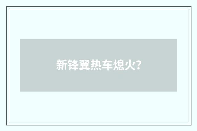 新锋翼热车熄火？
