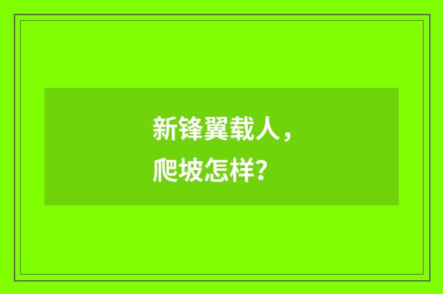 新锋翼载人，爬坡怎样？