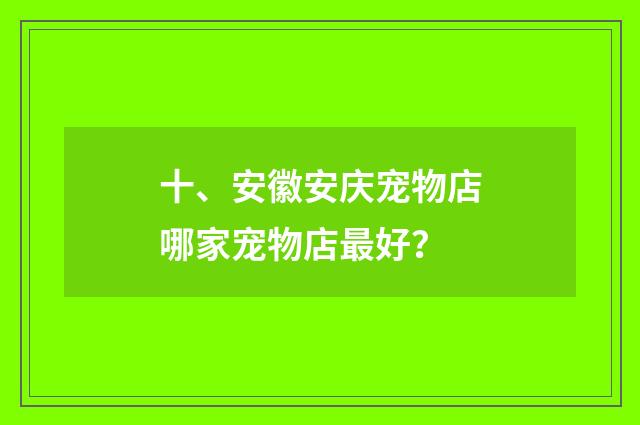 十、安徽安庆宠物店哪家宠物店最好?