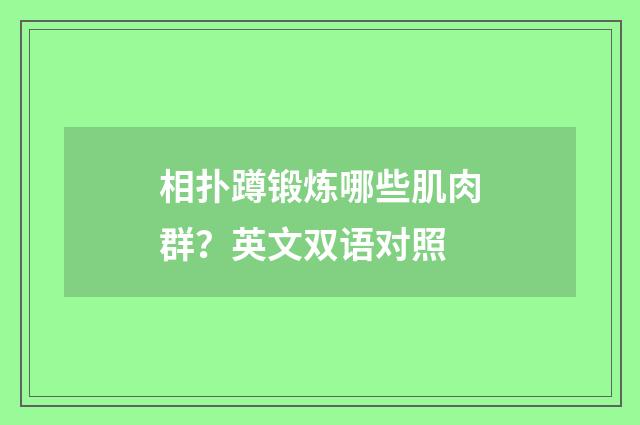 相扑蹲锻炼哪些肌肉群？英文双语对照