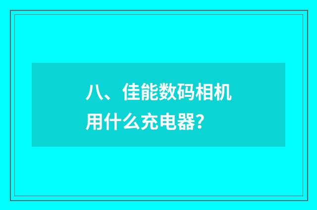 八、佳能数码相机用什么充电器？