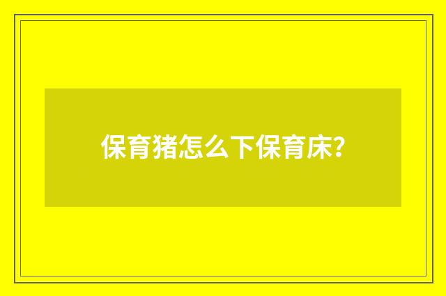 保育猪怎么下保育床？
