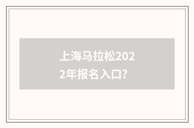 上海马拉松2022年报名入口？