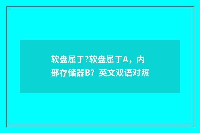 软盘属于?软盘属于A，内部存储器B？英文双语对照
