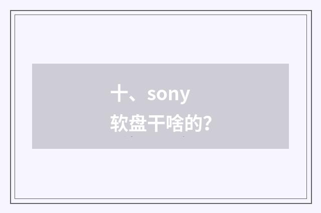 十、sony软盘干啥的？