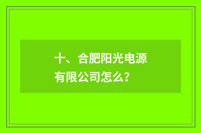 十、合肥阳光电源有限公司怎么？