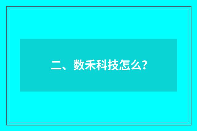 二、数禾科技怎么？