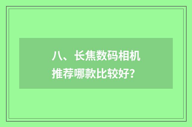 八、长焦数码相机推荐哪款比较好？