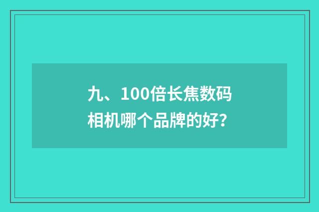 九、100倍长焦数码相机哪个品牌的好？