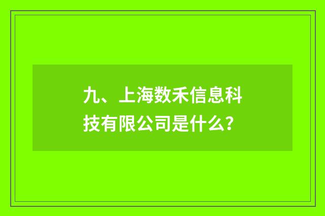 九、上海数禾信息科技有限公司是什么？