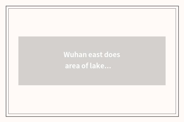 Wuhan east does area of lake travel scene sell fastfood business how?
