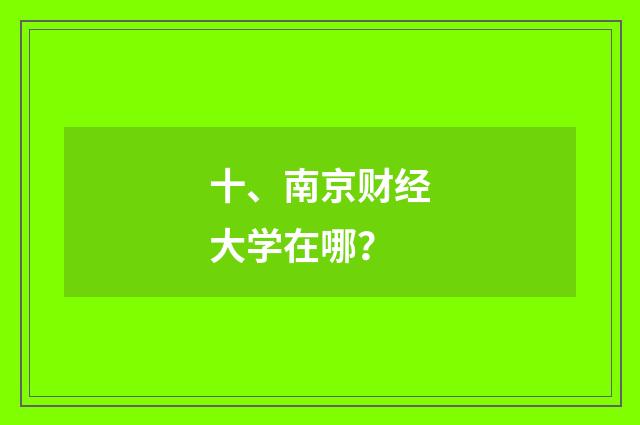 十、南京财经大学在哪？