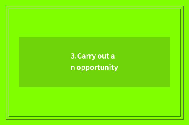 3.Carry out an opportunity