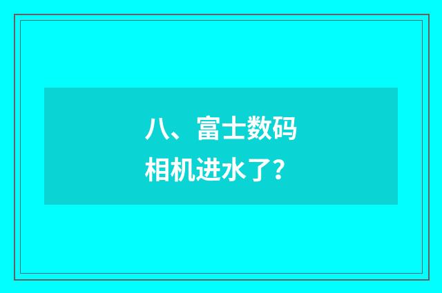 八、富士数码相机进水了?