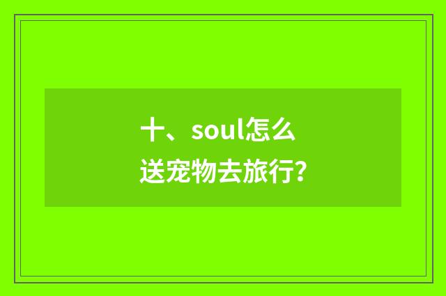 十、soul怎么送宠物去旅行？