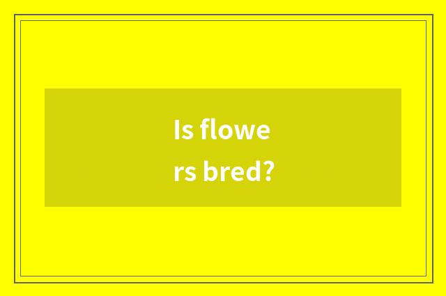 Is flowers bred?