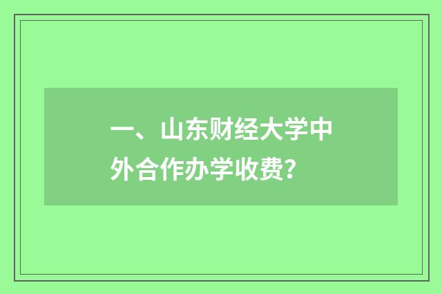一、山东财经大学中外合作办学收费？