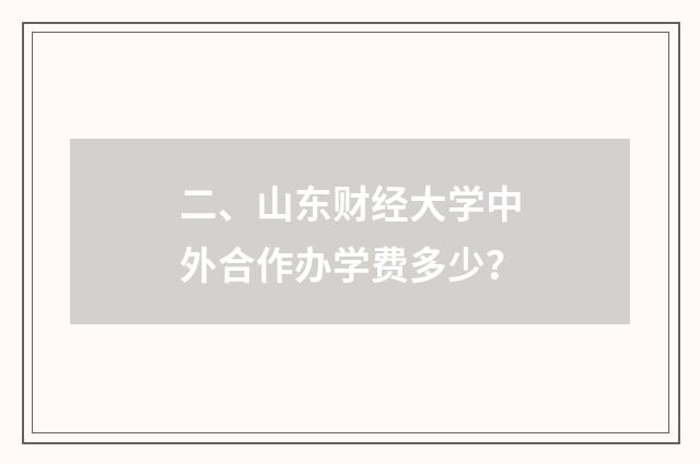 二、山东财经大学中外合作办学费多少？