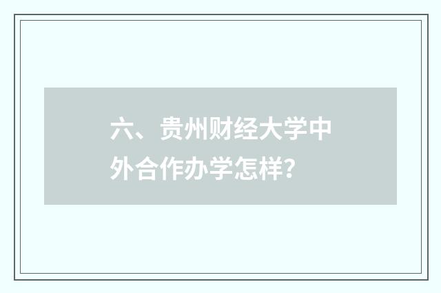 六、贵州财经大学中外合作办学怎样？