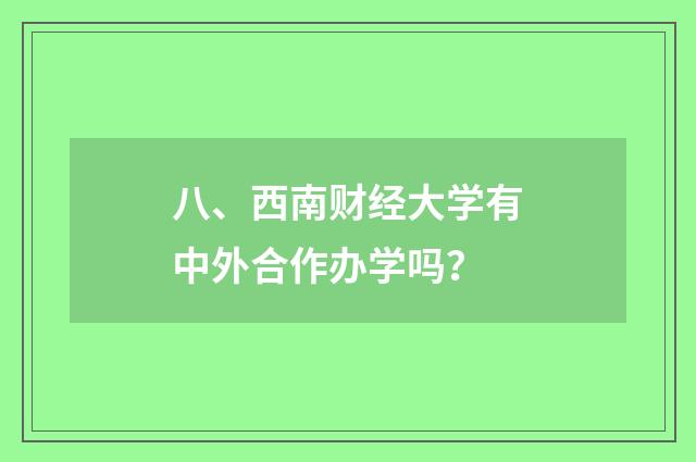 八、西南财经大学有中外合作办学吗？