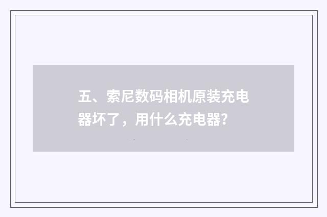 五、索尼数码相机原装充电器坏了，用什么充电器？