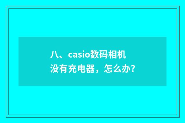 八、casio数码相机没有充电器，怎么办？