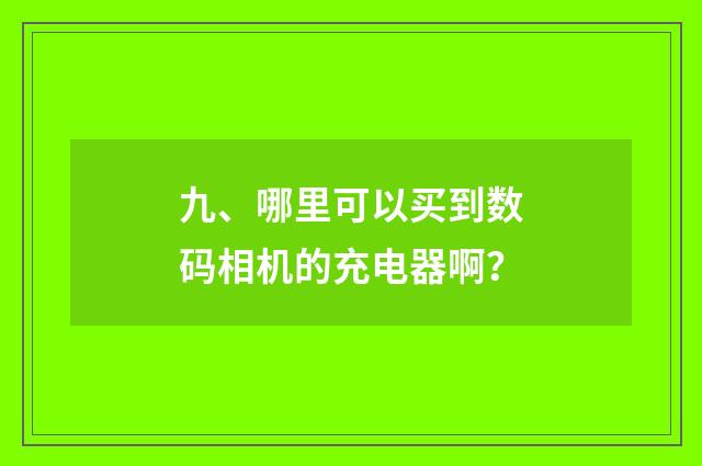 九、哪里可以买到数码相机的充电器啊？