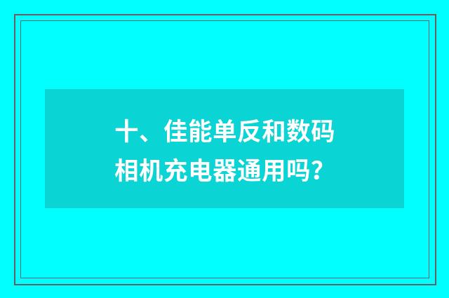 十、佳能单反和数码相机充电器通用吗？
