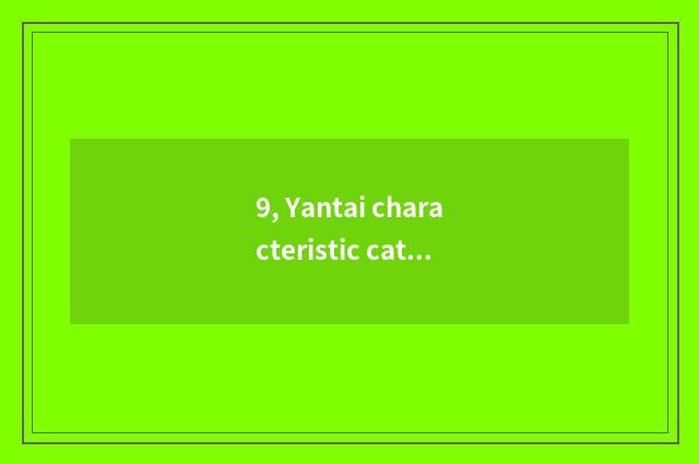 9, Yantai characteristic cate?