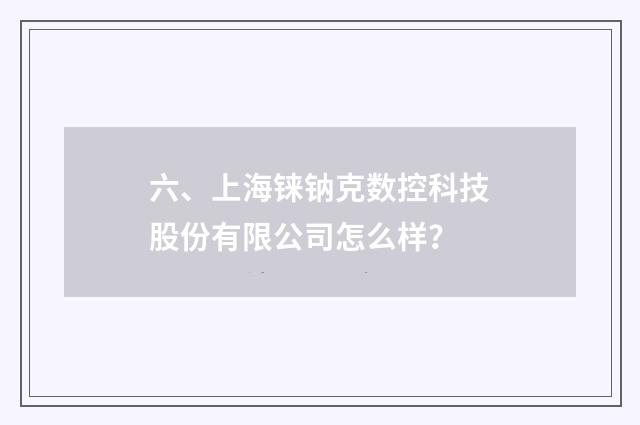 六、上海铼钠克数控科技股份有限公司怎么样？