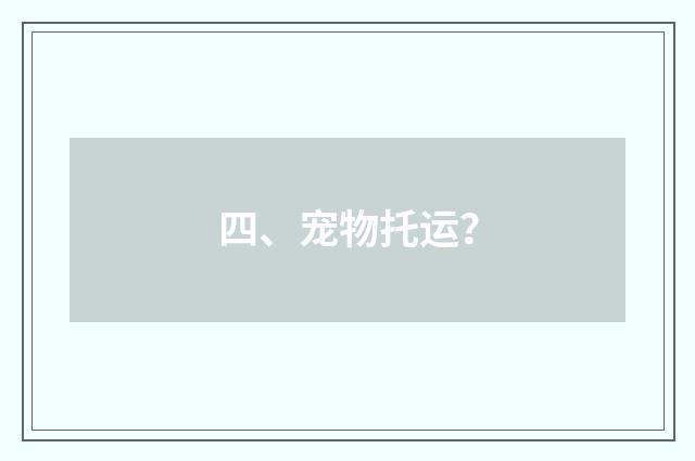 四、宠物托运?
