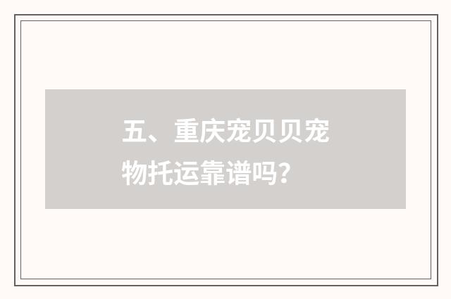 五、重庆宠贝贝宠物托运靠谱吗？
