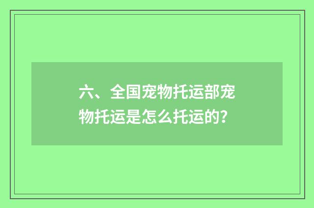 六、全国宠物托运部宠物托运是怎么托运的？