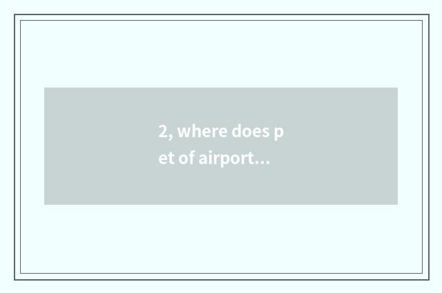 2, where does pet of airport of Chongqing river north consign to take?