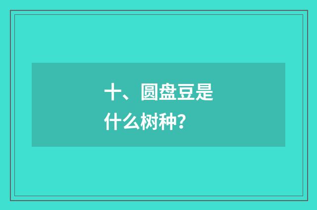 十、圆盘豆是什么树种？