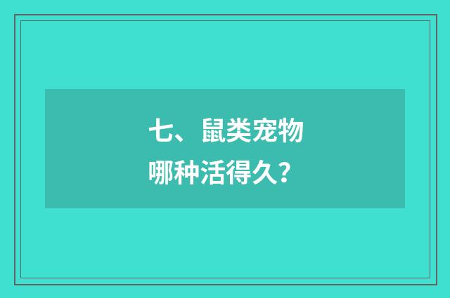 七、鼠类宠物哪种活得久？